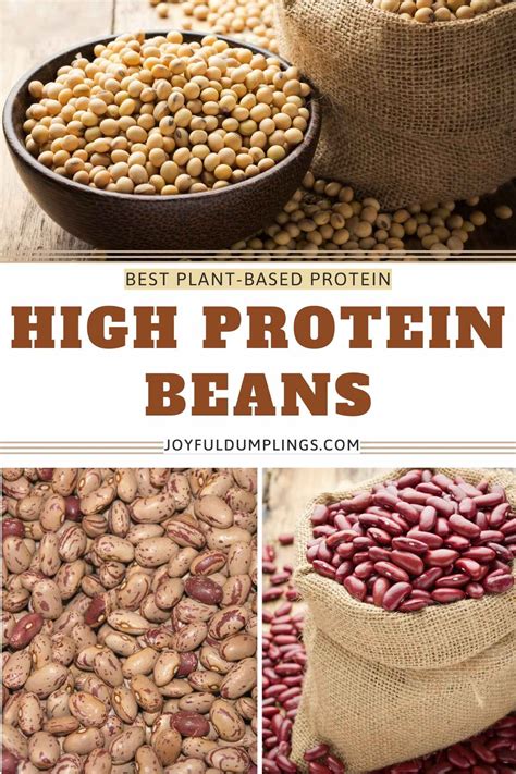 are legumes high quality protein
